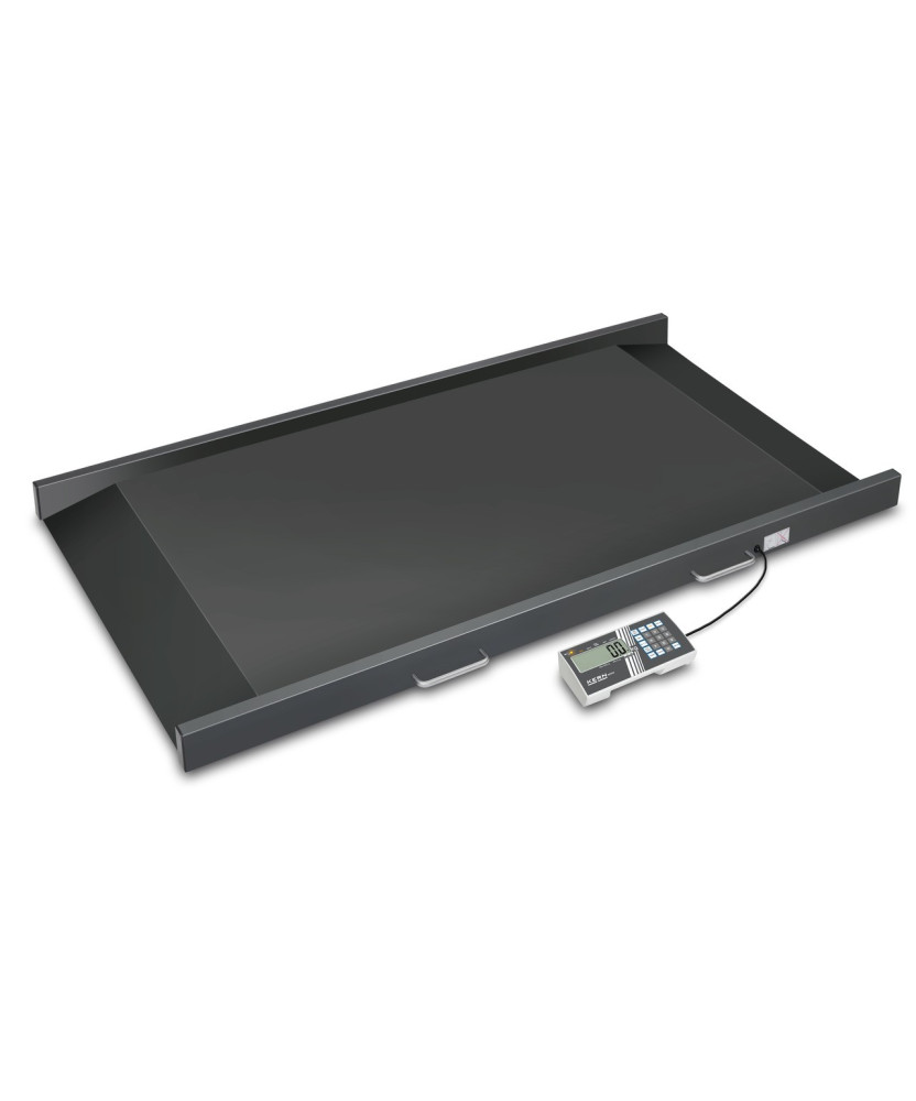 Balance KERN MWS 300K-1LM pour tables de transport